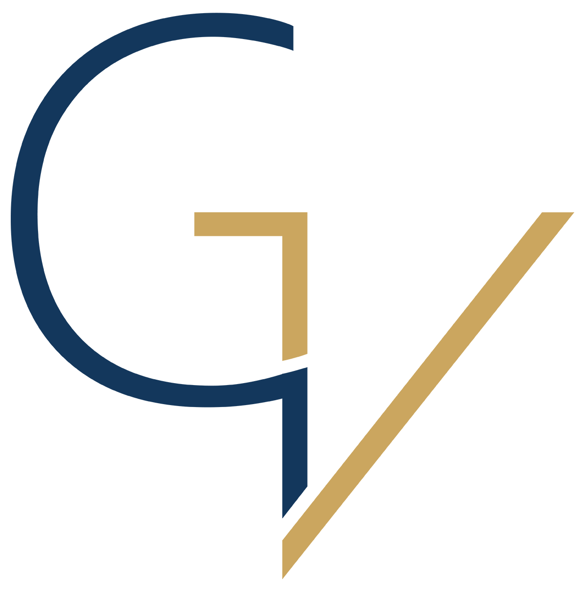 GenVinity Group Logo